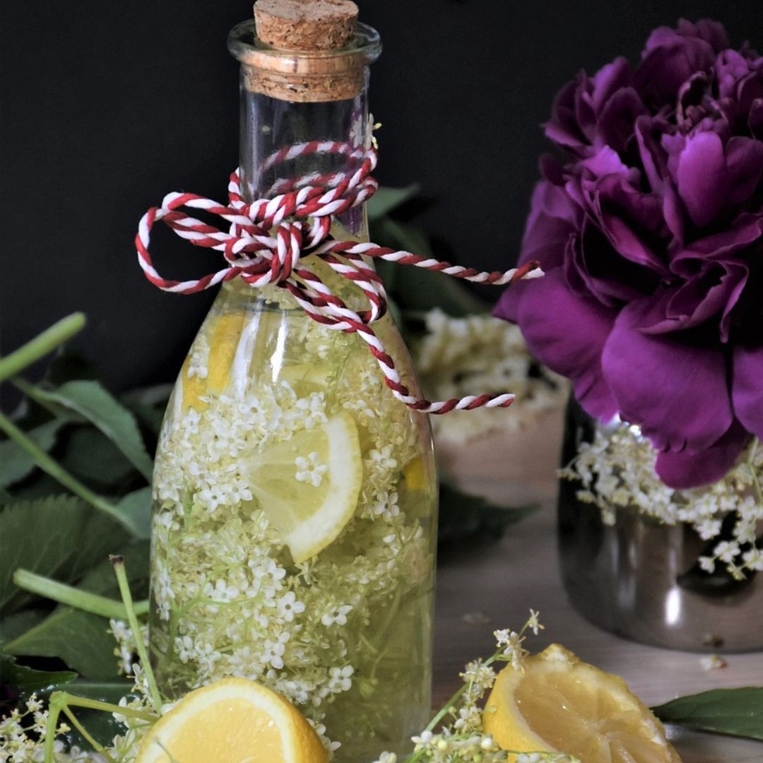 Elderflower champagne - easy, delightful, bubbly beverage recipe