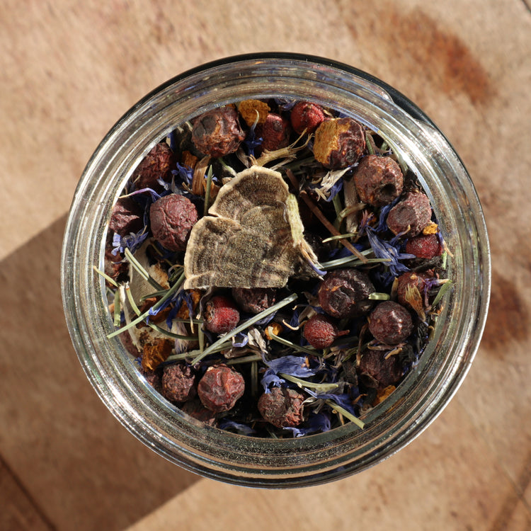 Wildcrafted Herbal Tea - Wander