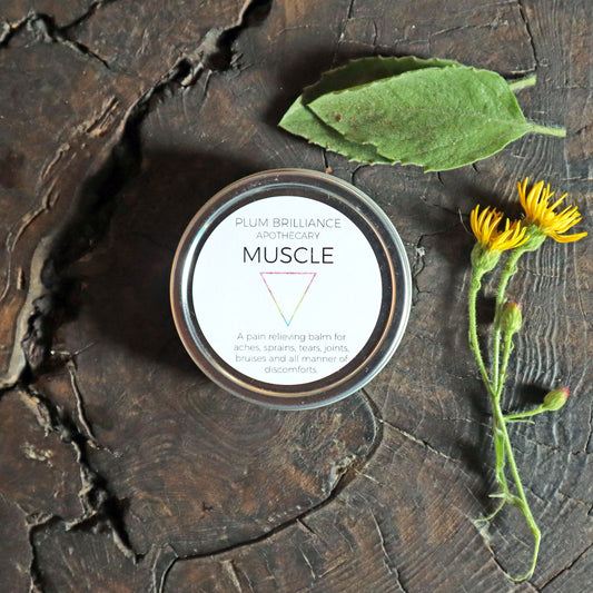 arnica natural pain relief balm